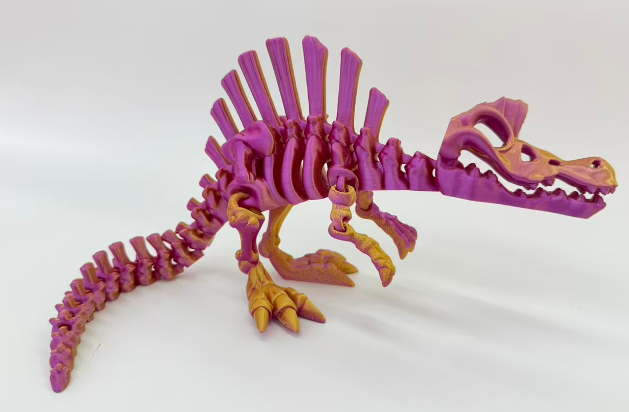 30CM3D طبع نماذج متحركة للمفاصل الشوكي الشوكي pic 2