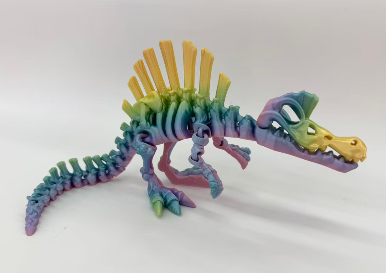30CM3D طبع نماذج متحركة للمفاصل الشوكي الشوكي Specification image