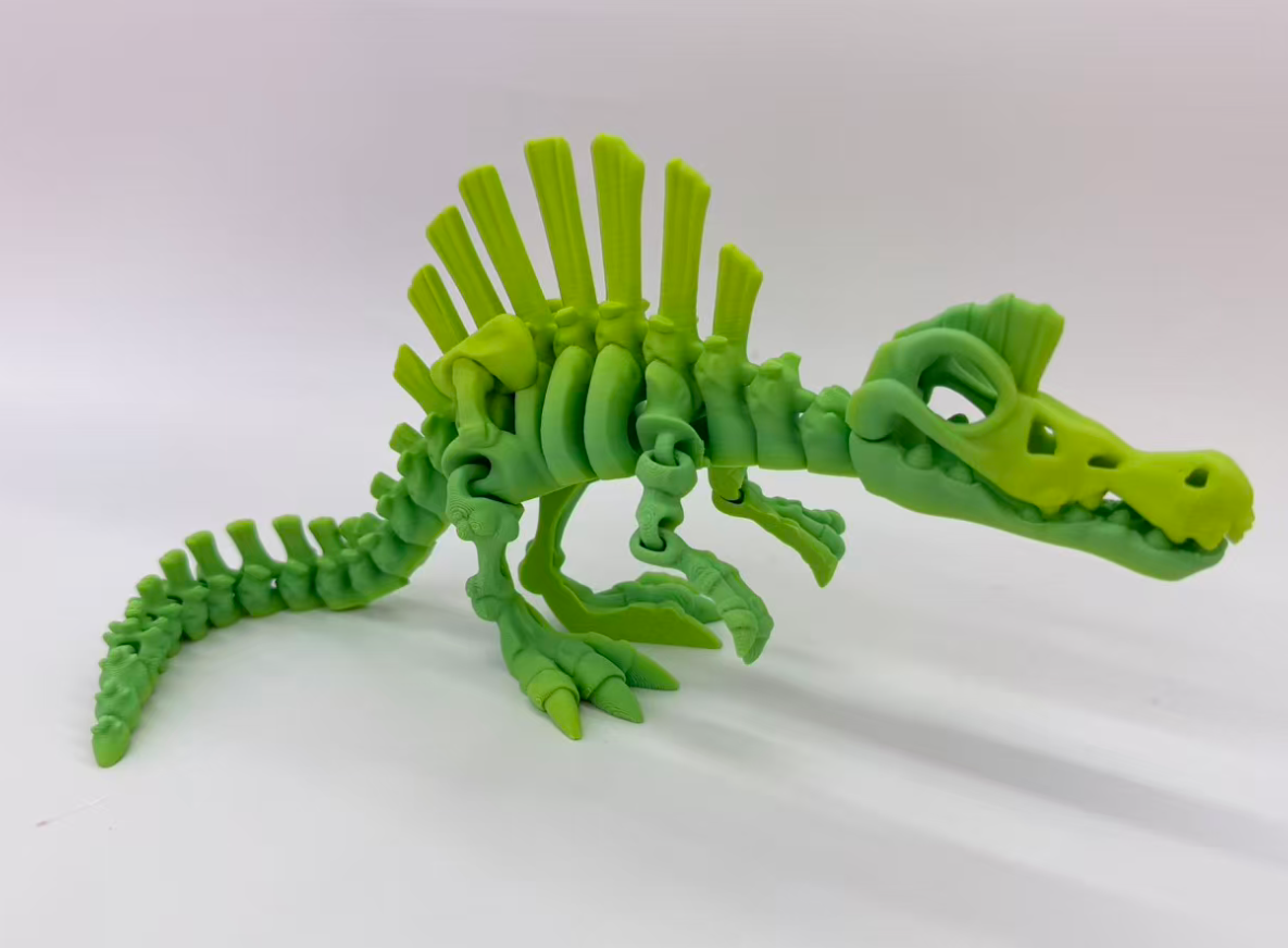 30CM3D طبع نماذج متحركة للمفاصل الشوكي الشوكي pic 6