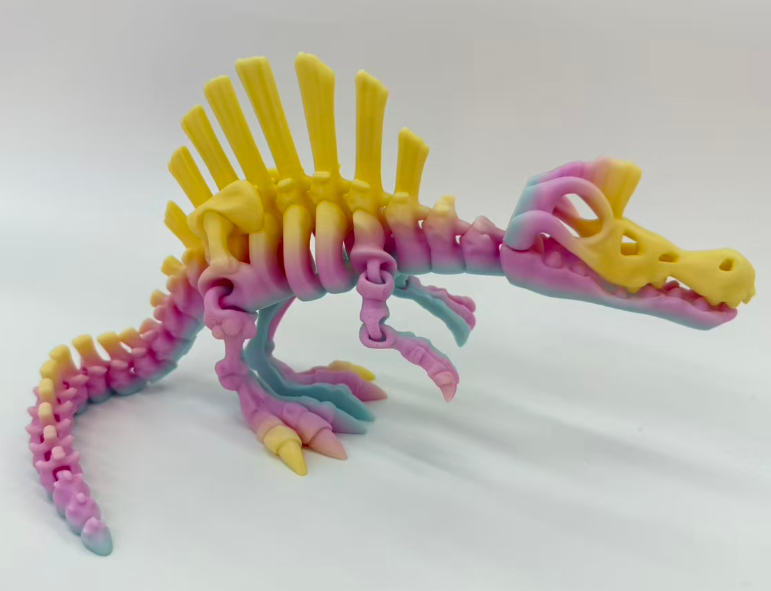 30CM3D طبع نماذج متحركة للمفاصل الشوكي الشوكي Item Picture