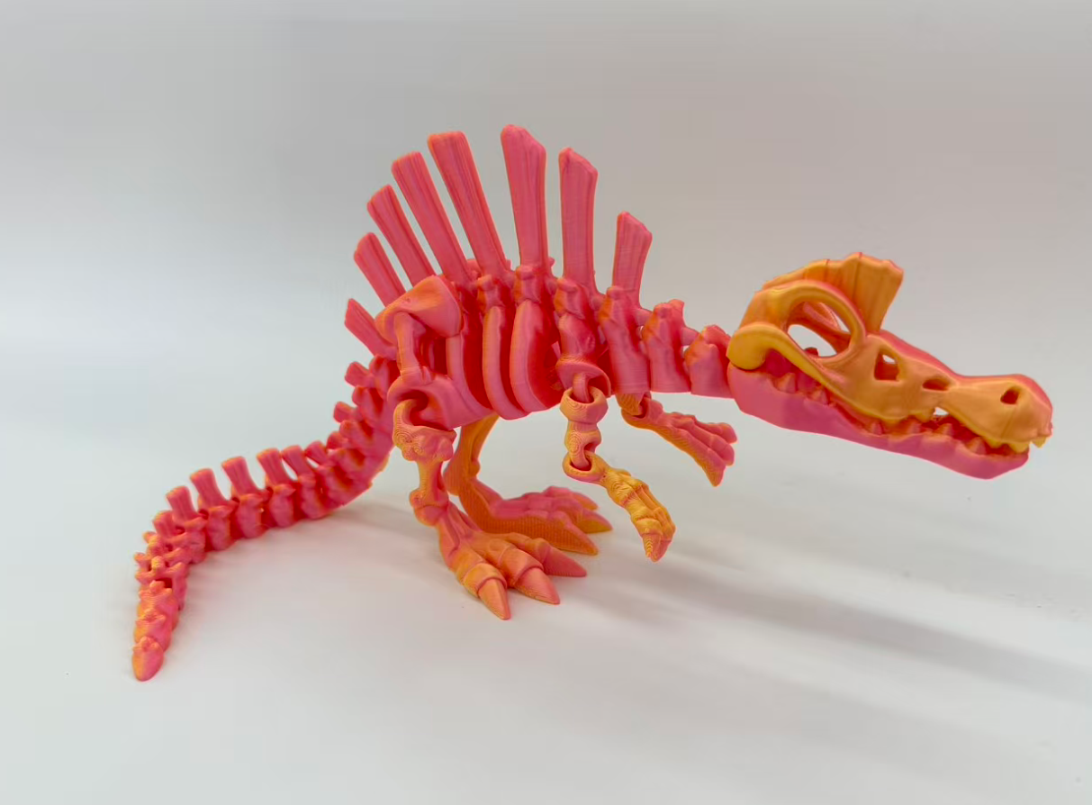 30CM3D طبع نماذج متحركة للمفاصل الشوكي الشوكي pic 4