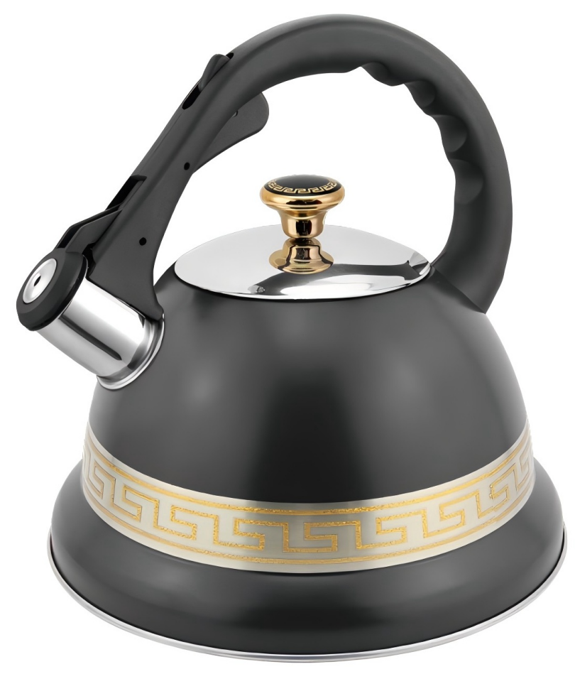 HausRoland 3.5L不锈钢水壶 HR760-4