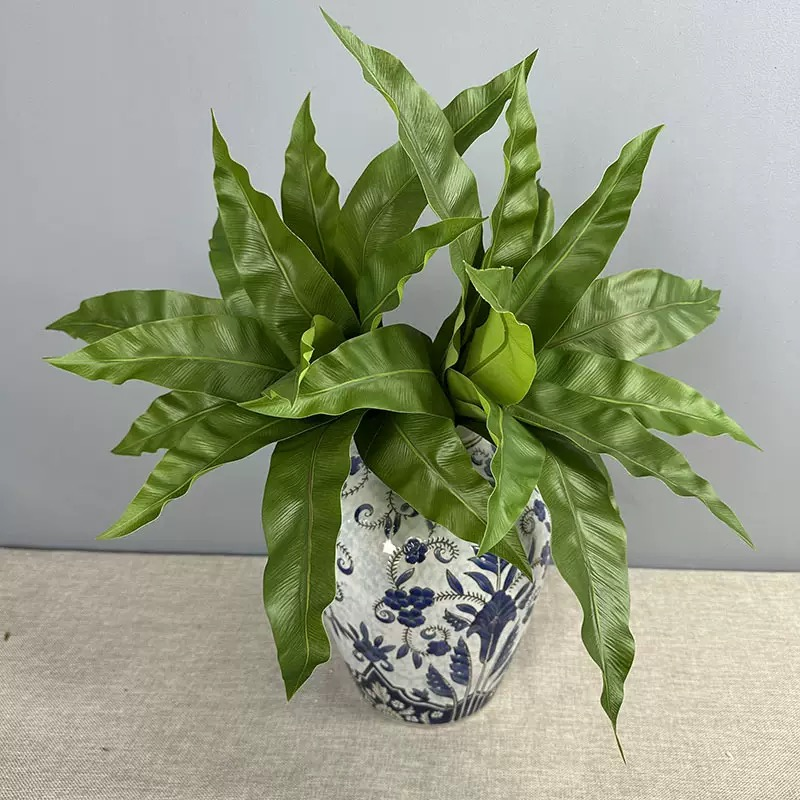 仿真蕨类植物12片鸟巢蕨蕨草室外植物墙配材婚庆装饰火焰鸟巢蕨