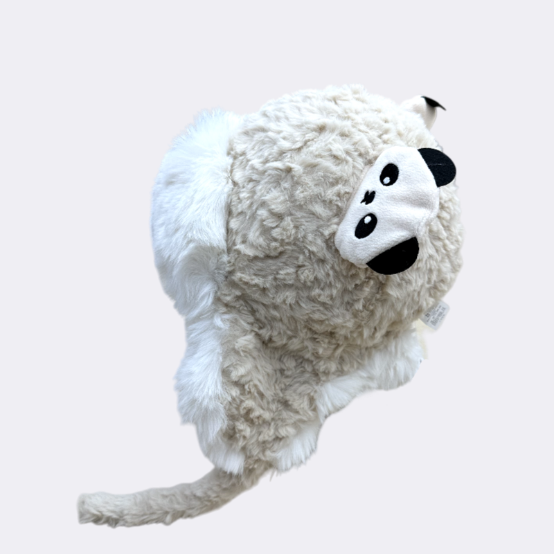In extremely cold winter, plush ear protectors, children's hats, Lei Feng hats and Xuefeng hats are suitable for children aged 5 to 15 details Picture