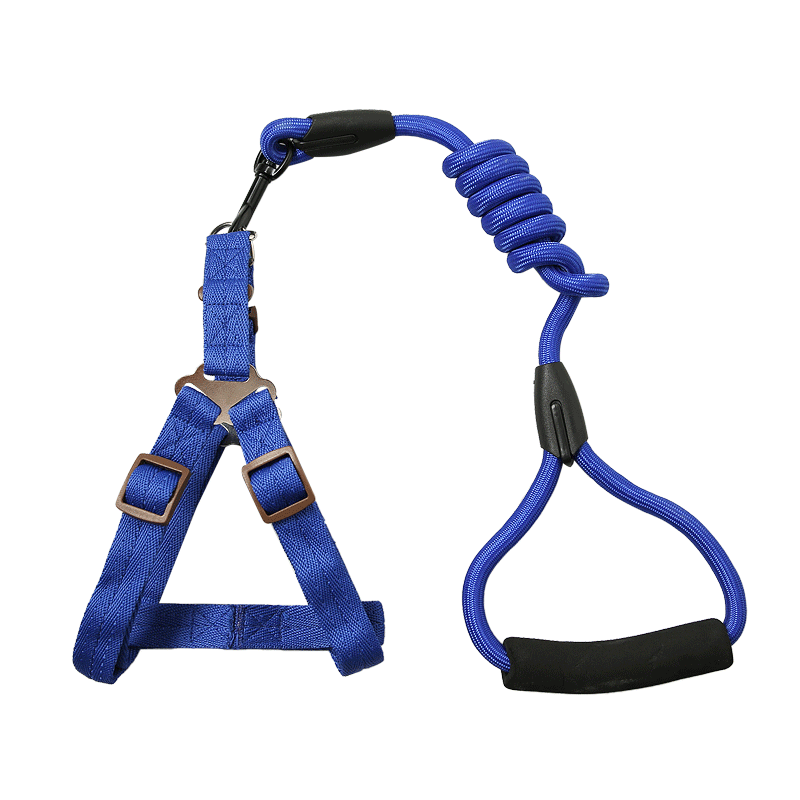 New type of large pet supplies retractable leash