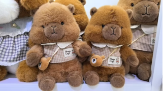 网红卡皮巴拉水豚公仔呆萌汉堡包背包水豚鼠毛绒玩具玩偶儿童玩具 