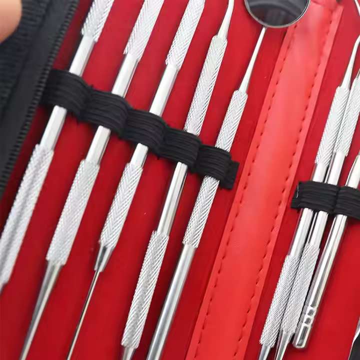 医疗专业不锈钢10 pcs牙科检查套装牙医手术工具详情图5