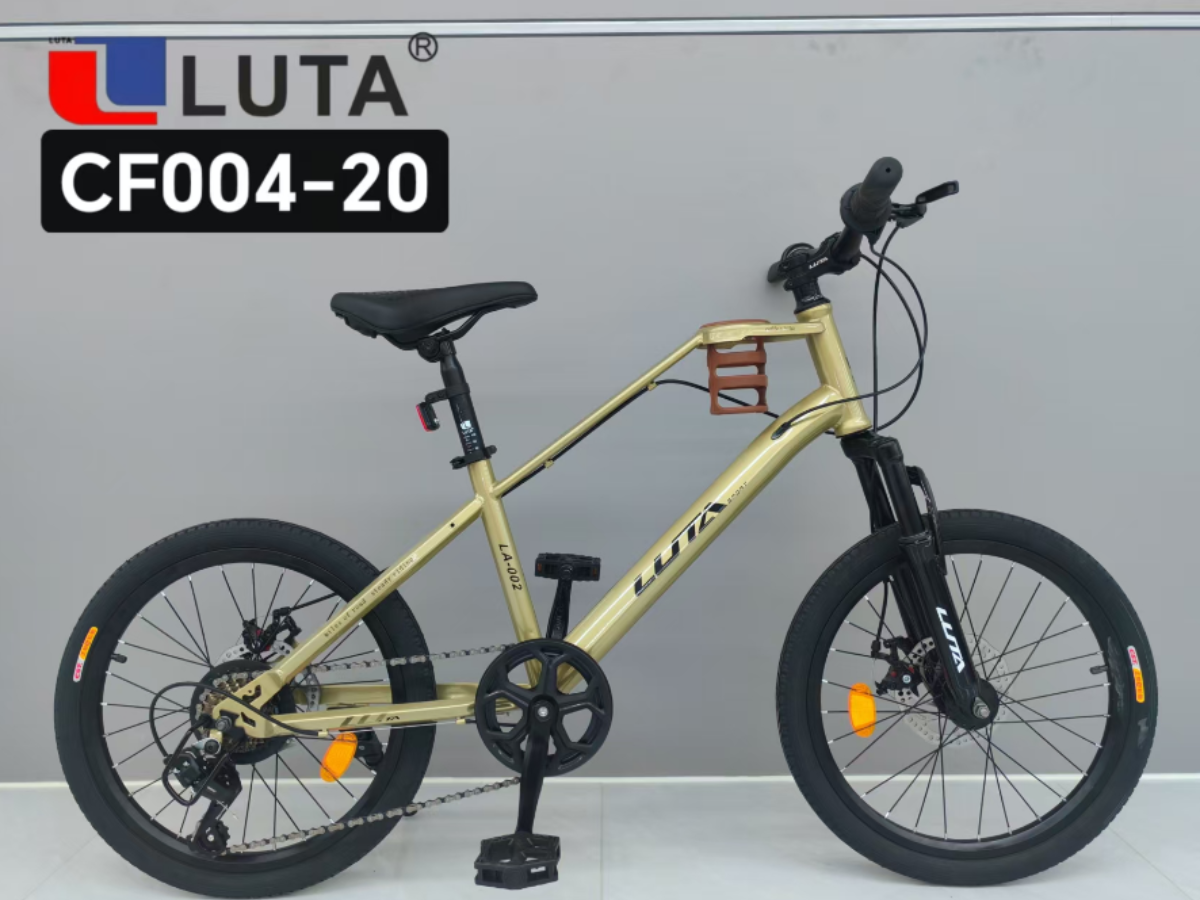 LUTA CF004-20山地车，金色车身搭配黑色配件，时尚动感，适合城市骑行与轻度越野20寸成人山地车