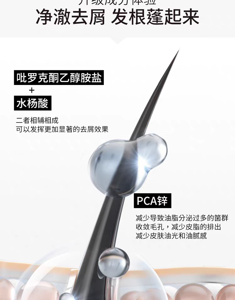 原装进口发玛21蓬松去屑洗发水600ml 无硅油净澈大容量详情图9