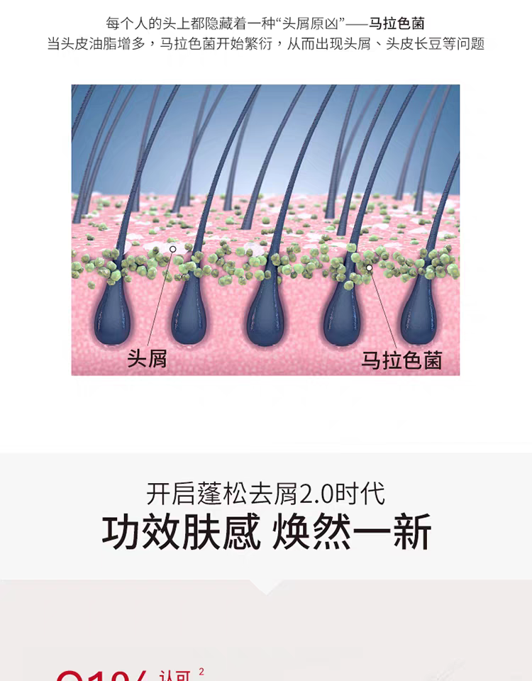 原装进口发玛21蓬松去屑洗发水600ml 无硅油净澈大容量详情图4