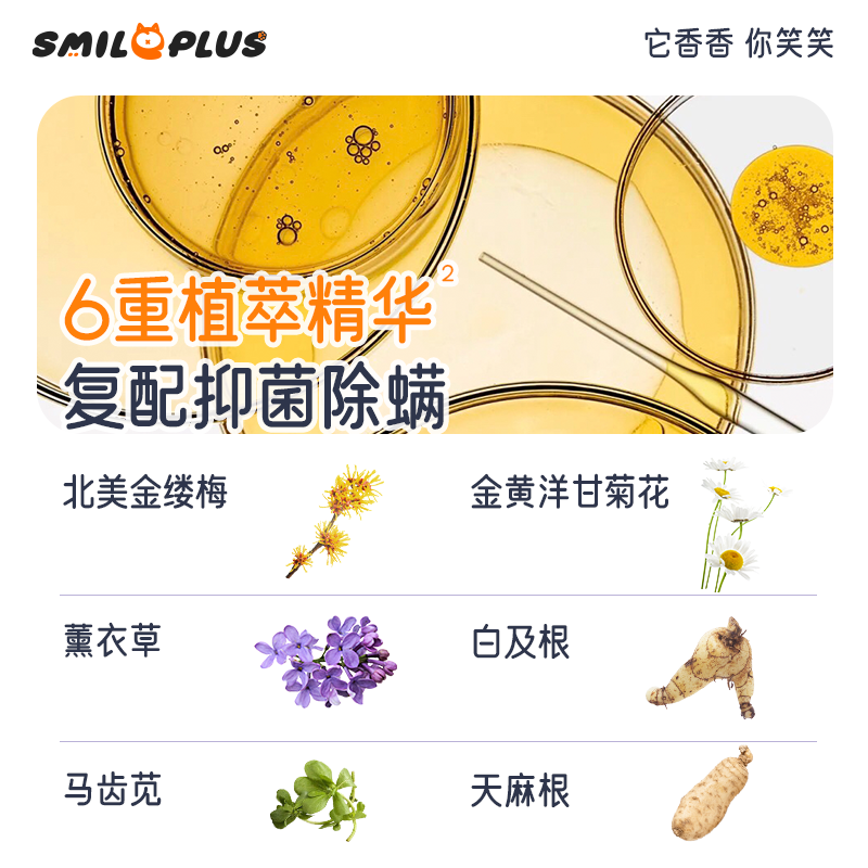 宠物白底实物图