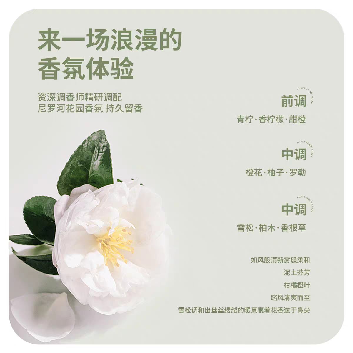 كريل: العطر المغتسال العضلي، 1000ml هو العطر الدائم للسيدات Application Scenario