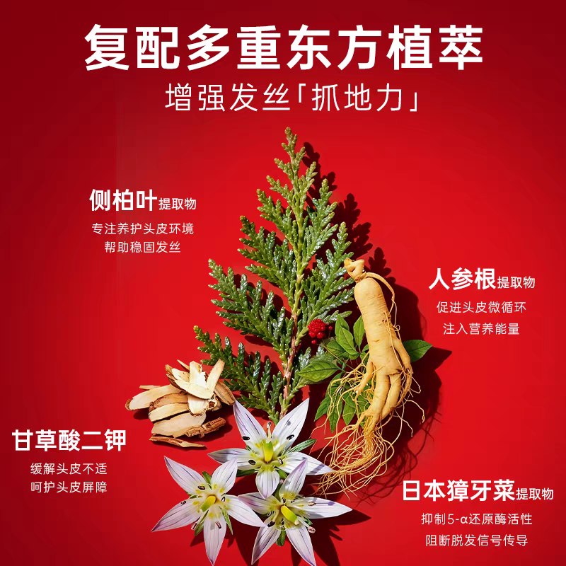 原装进口卡蓓诺防脱洗发水350ml  侧柏叶男士清爽控油蓬松防脱固发精华液洗发露液细节图