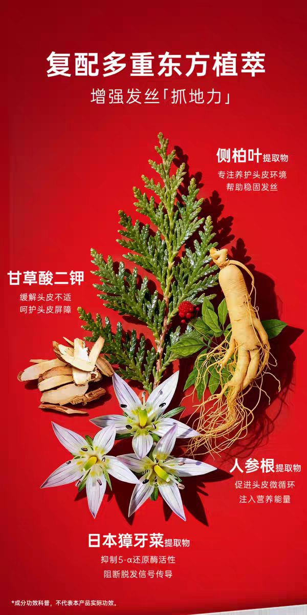 原装进口卡蓓诺防脱洗发水350ml  侧柏叶男士清爽控油蓬松防脱固发精华液洗发露液详情图7