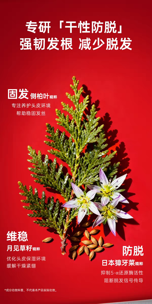 原装进口卡蓓诺丰盈润养防脱洗发水350ml 干性脱发洗发水详情图7