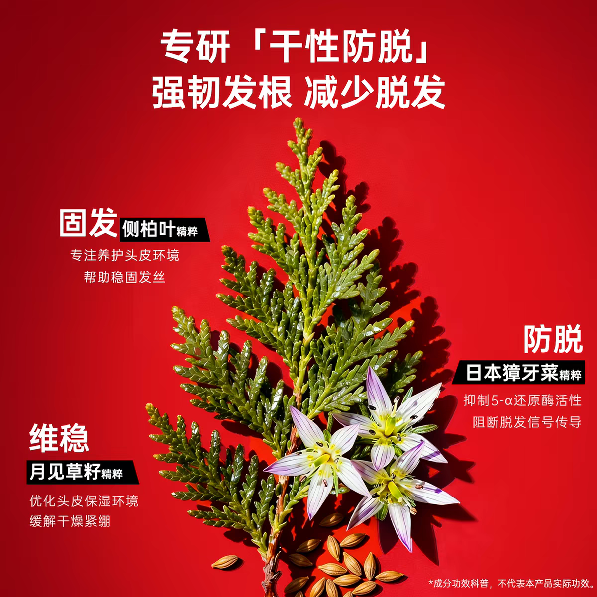 原装进口卡蓓诺丰盈润养防脱洗发水350ml 干性脱发洗发水产品图