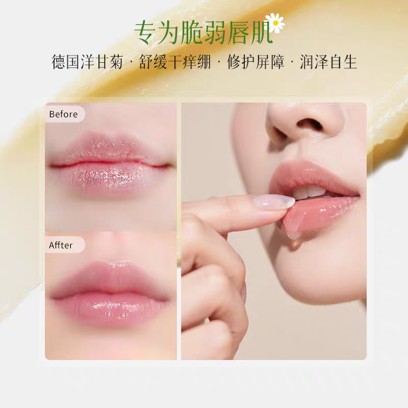 Herbacin Haobenqing German Chamomile Repair Lipstick 4.8g, Repairing Chamomile and Daisy, Moisturizing, Nourishing and Anti-cracking Item Picture