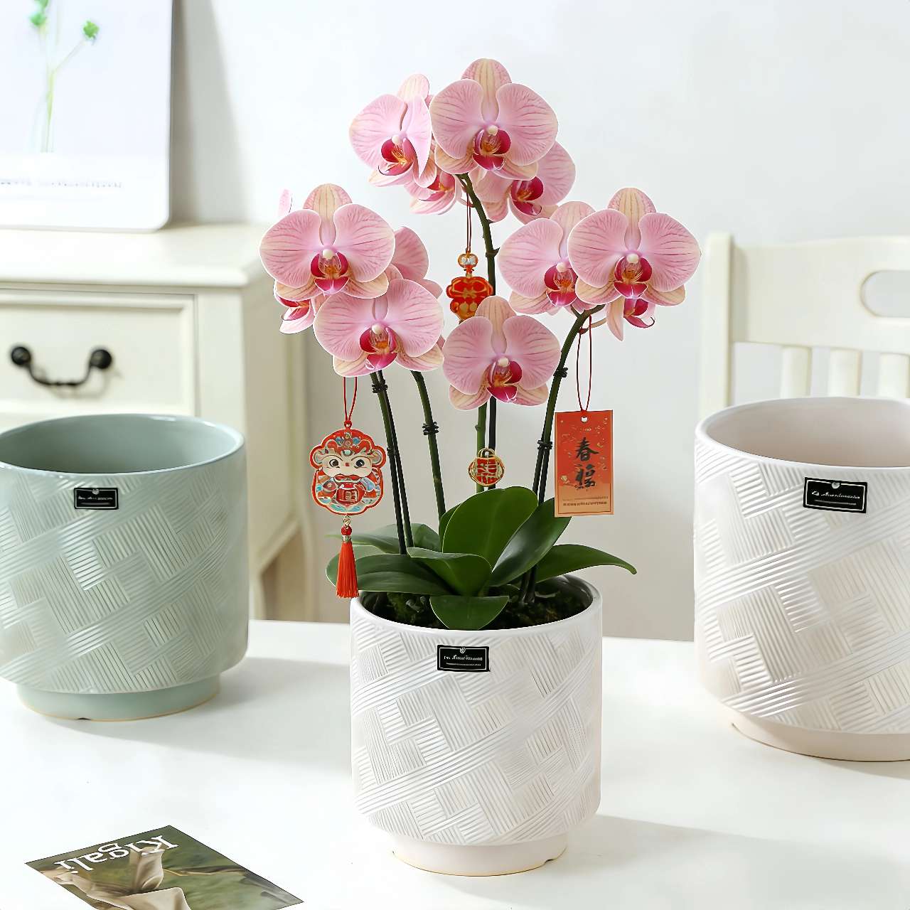 Ceramic succulent flowerpots, large flowerpots, small ceramic flowerpots, simple containers, garden vases, ceramic flowerpots Application Scenario