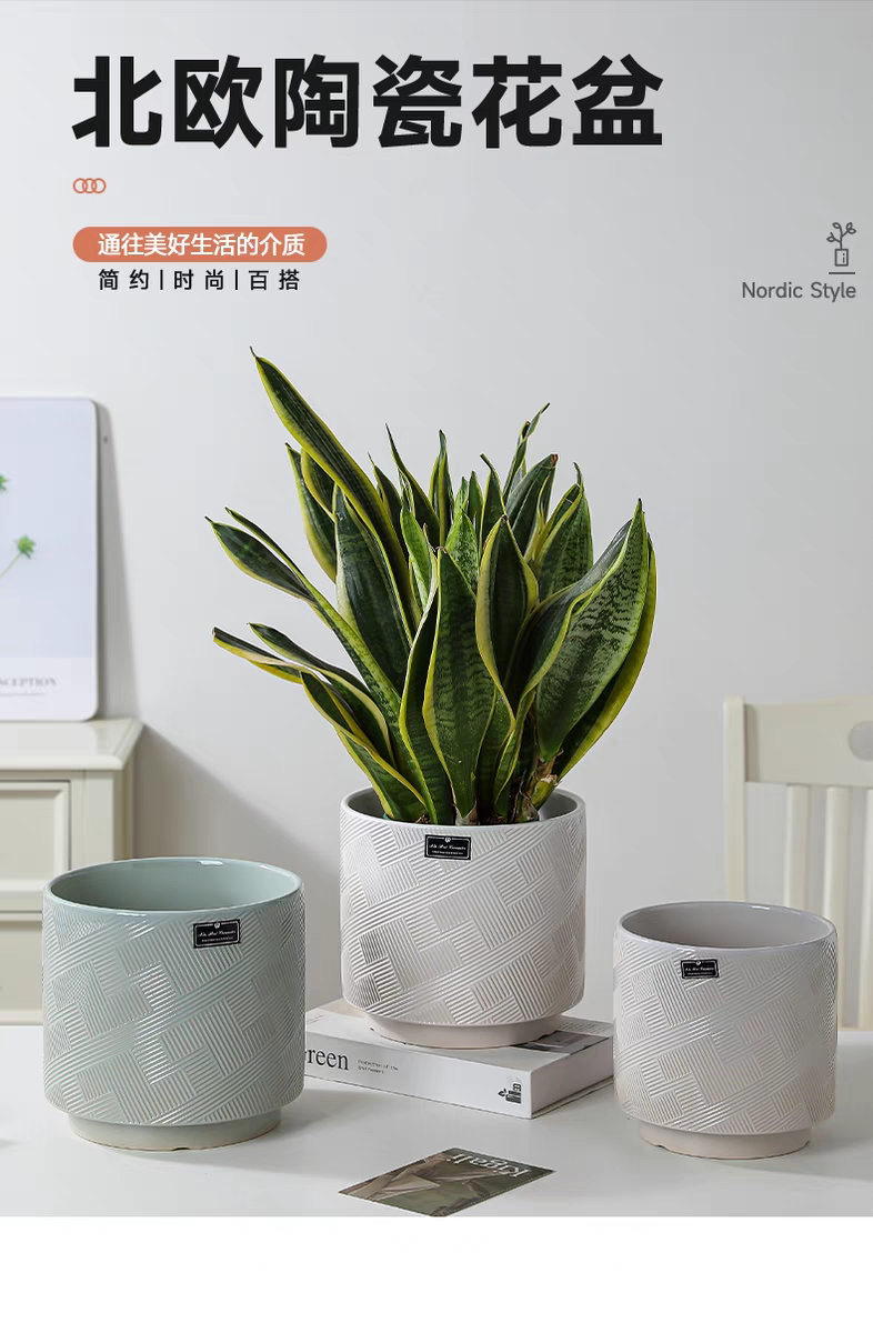 Ceramic succulent flowerpots, large flowerpots, small ceramic flowerpots, simple containers, garden vases, ceramic flowerpots detail image 2