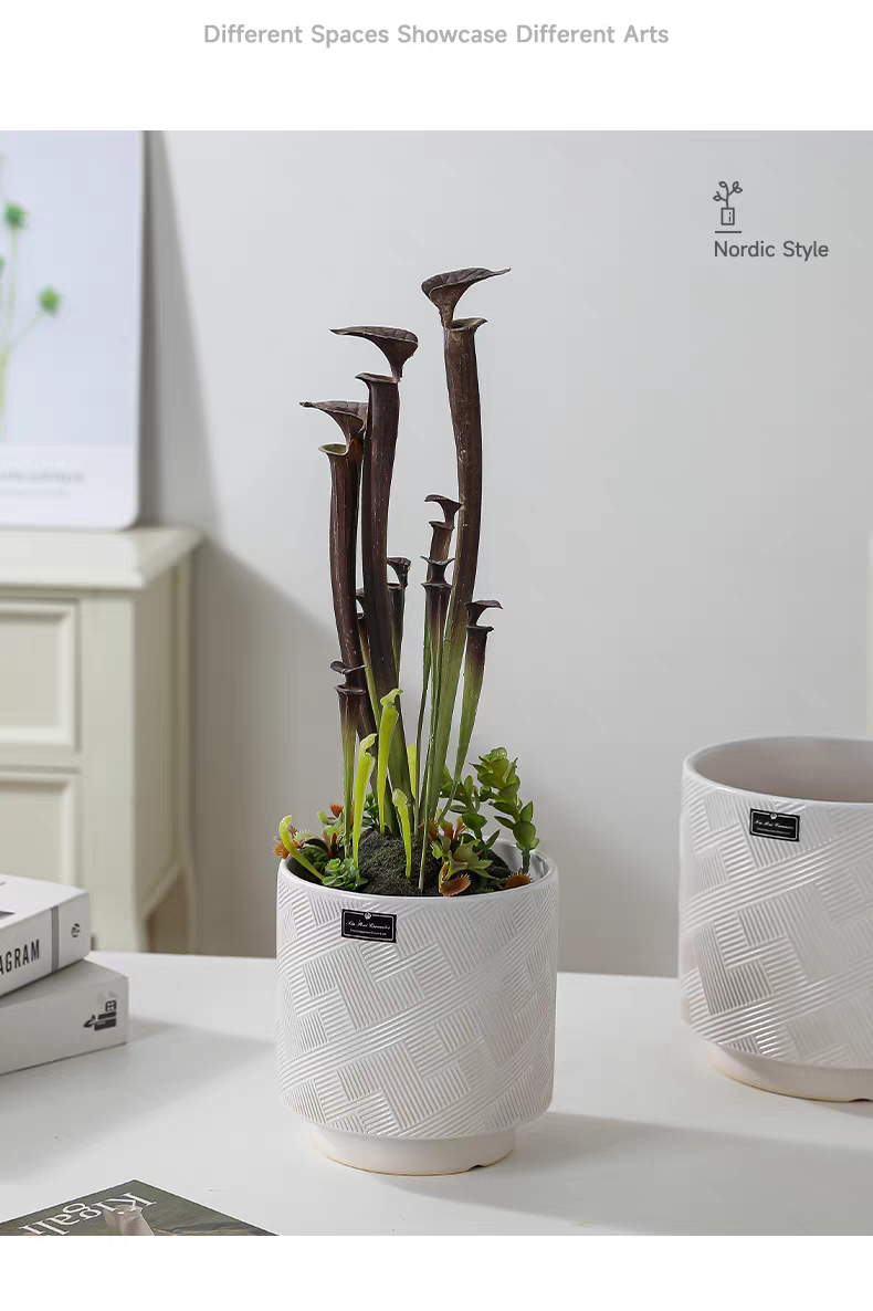 Ceramic succulent flowerpots, large flowerpots, small ceramic flowerpots, simple containers, garden vases, ceramic flowerpots detail image 6