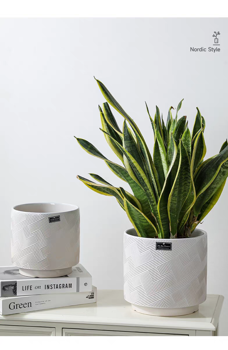 Ceramic succulent flowerpots, large flowerpots, small ceramic flowerpots, simple containers, garden vases, ceramic flowerpots detail image 8