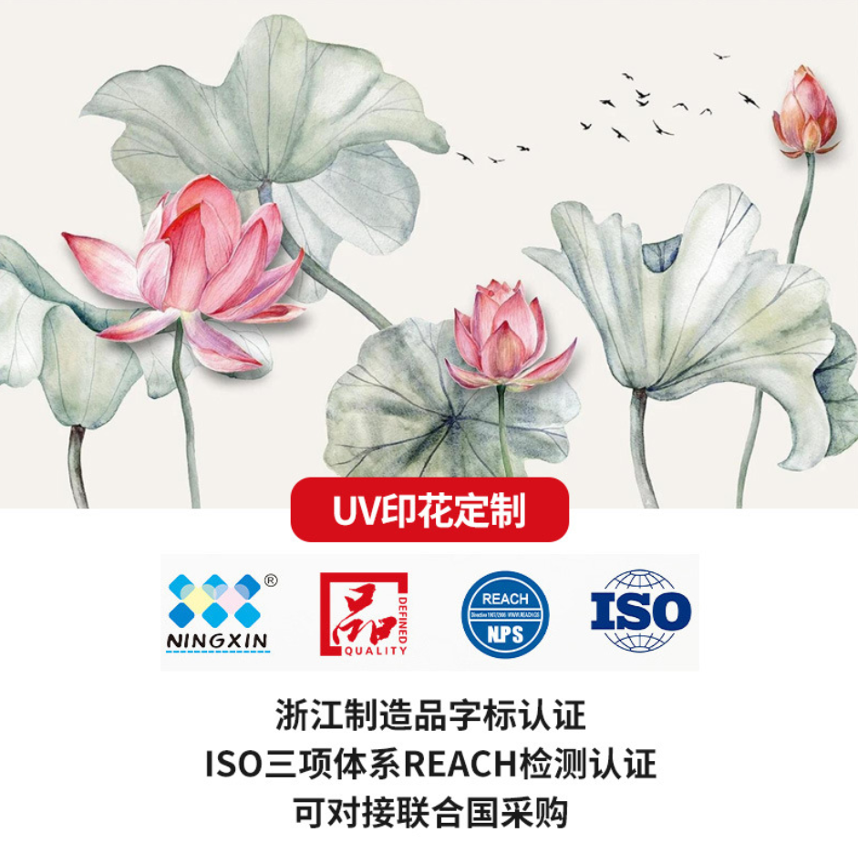Customized tableware UV printed placemats set, disposable plastic tableware details Picture