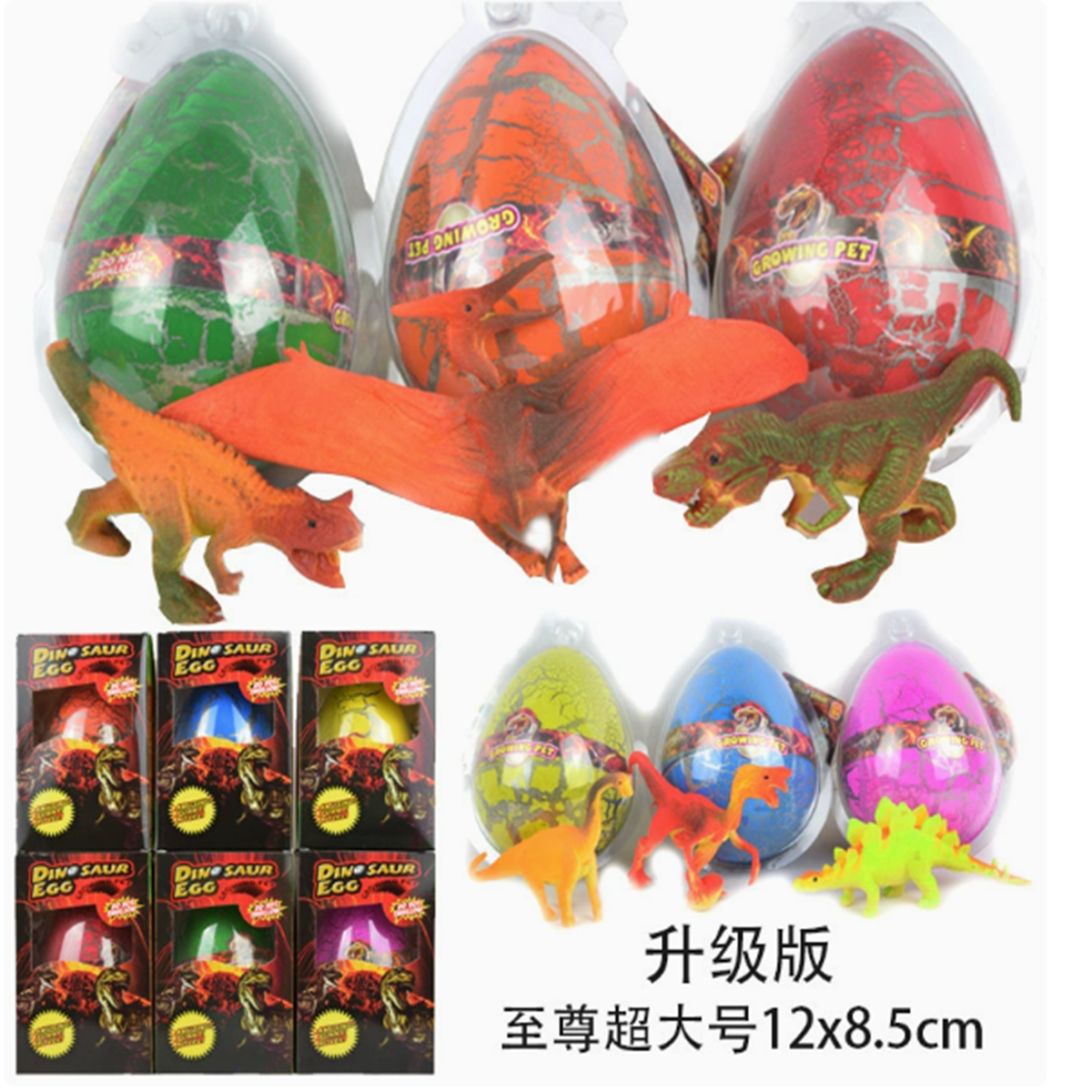 动植物/仿真模型实物图