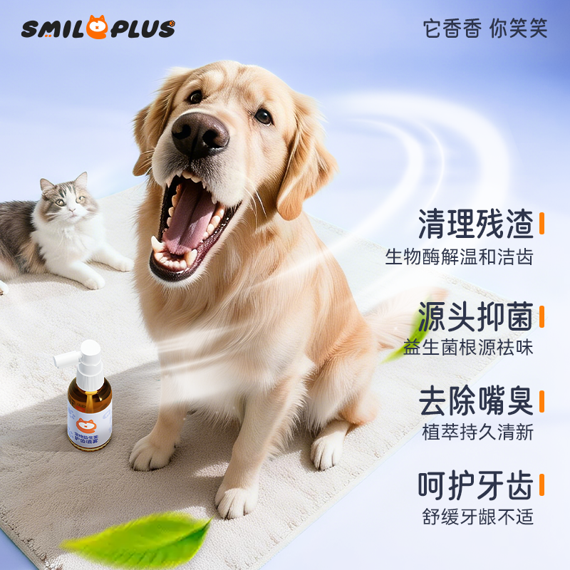 宠物牙刷/宠物清洁/跨境电商牙膏/漱口水清新/牙膏牙刷套装白底实物图