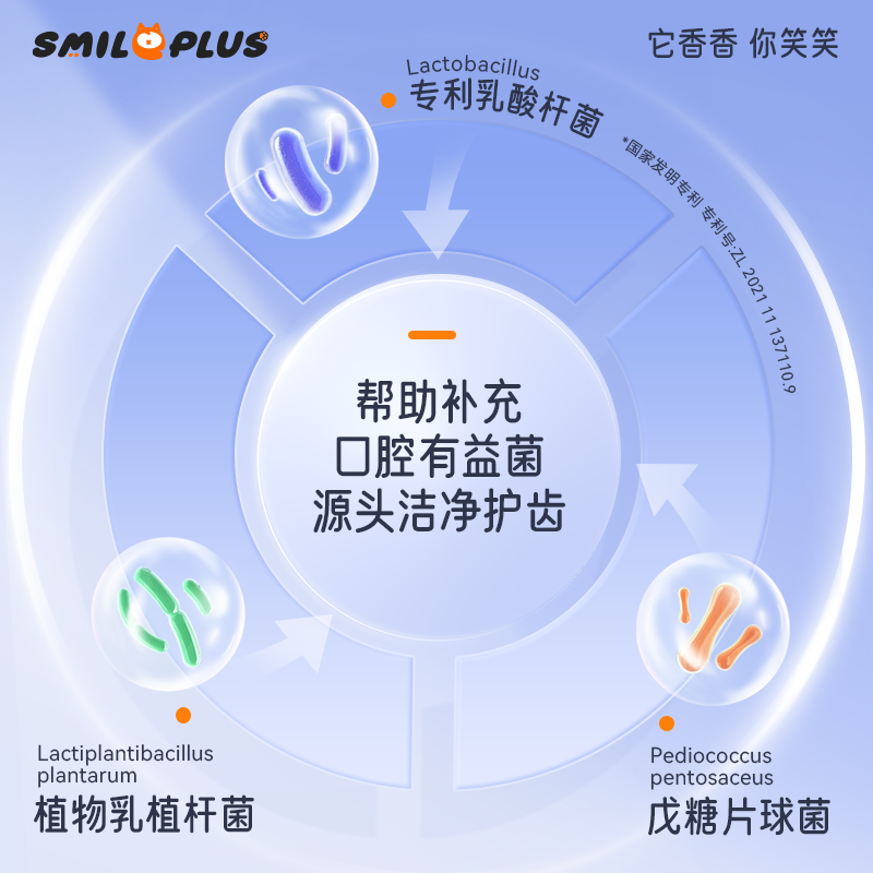 宠物牙刷/宠物清洁/跨境电商牙膏/漱口水清新/牙膏牙刷套装白底实物图