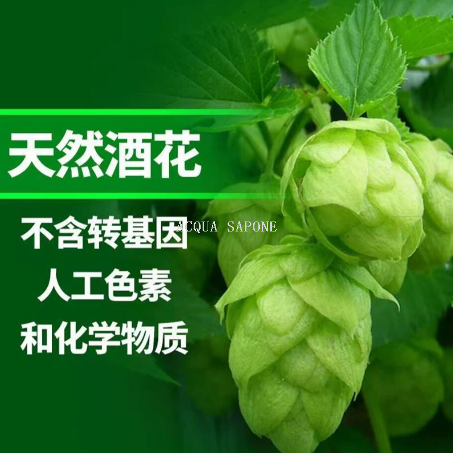 Free shipping! Dutch imported Helingen beer 8L Heineken 8-liter capsule beer THE TORP draft beer capsule style Application Scenario