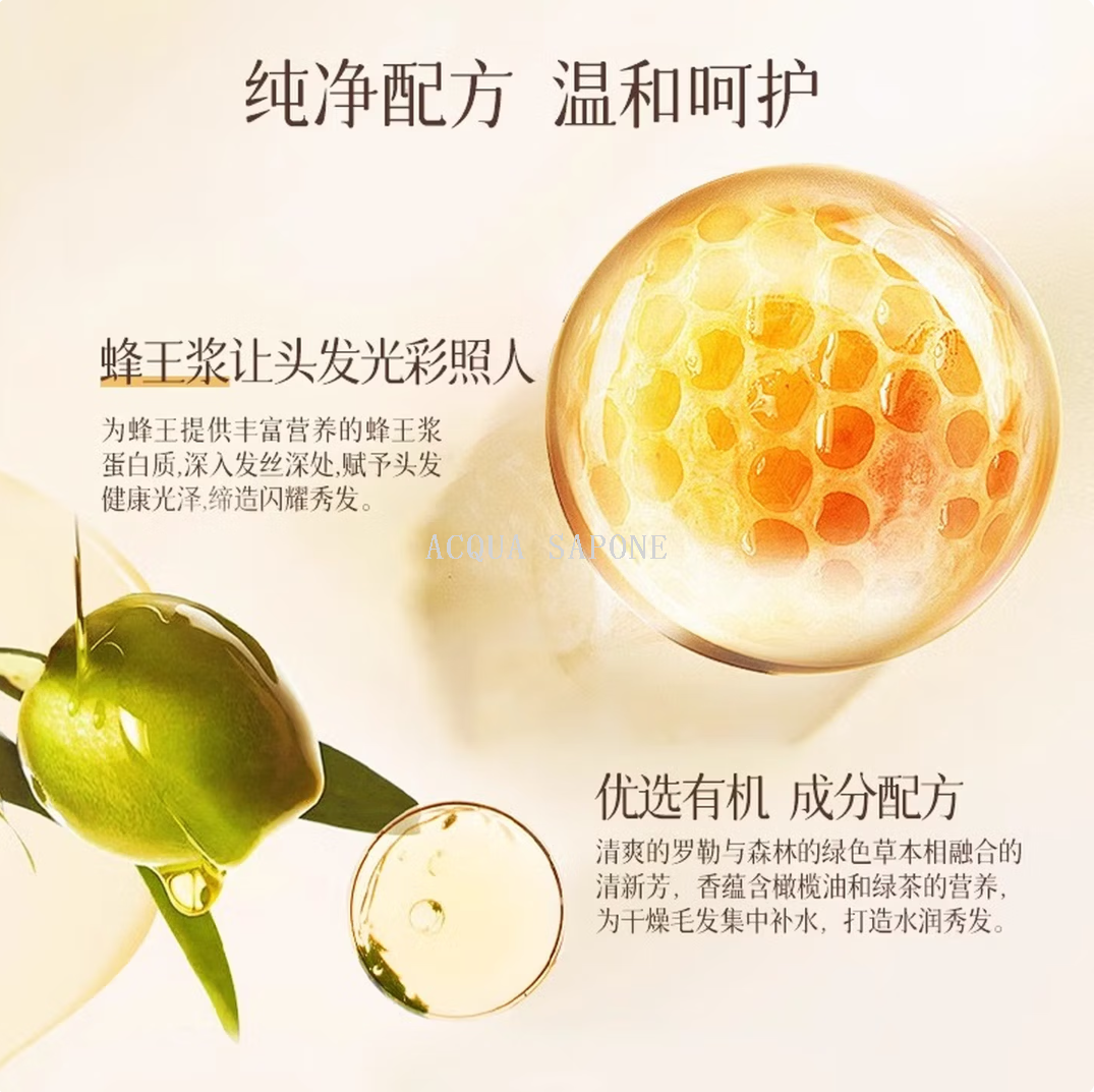 Free shipping! Korean imported Aijingkona propolis Shampoo 500ml, oil-control and fragrant shampoo, smooth and refreshing Specification image