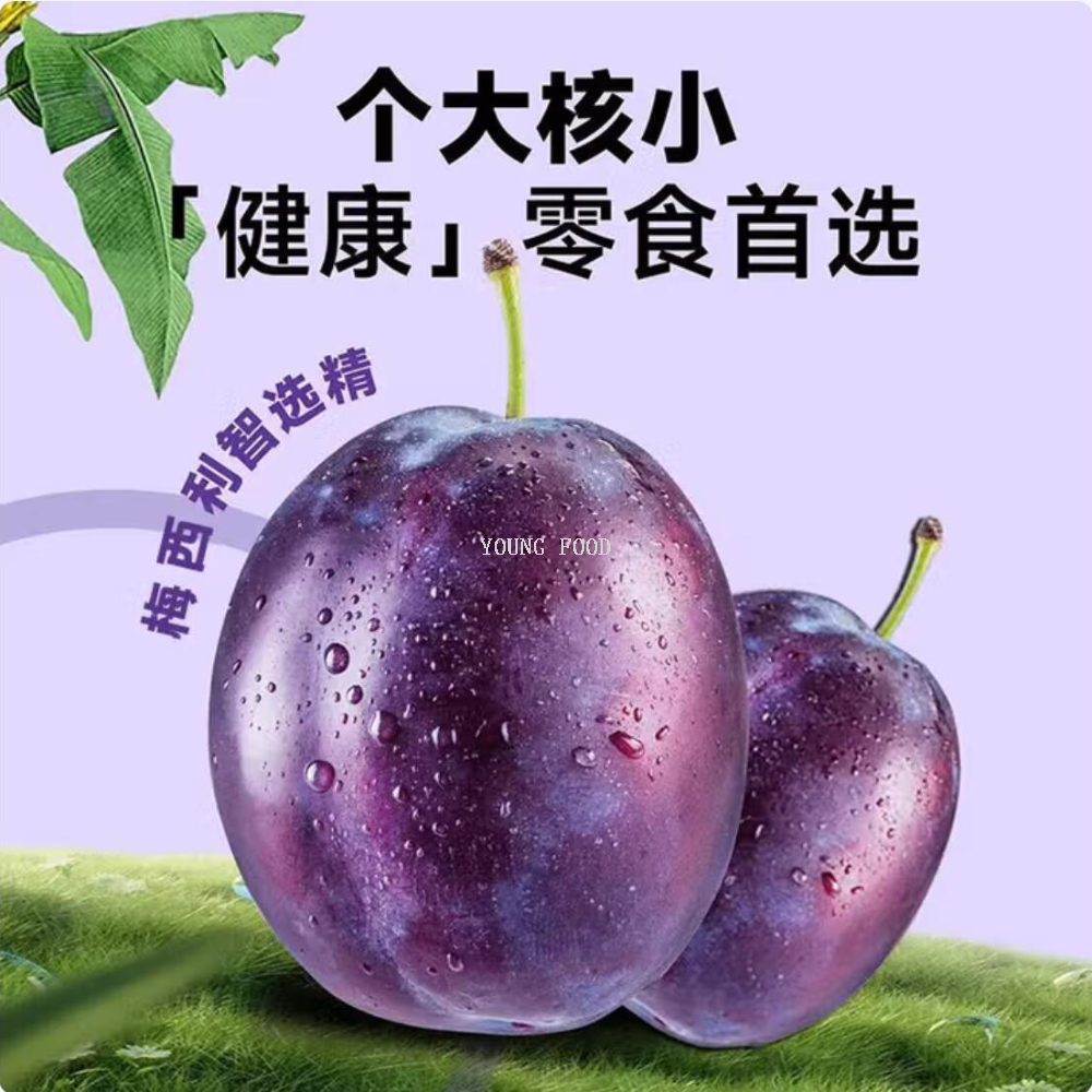 Free shipping! Lai Xi Prunes 458g raw materials, original imported from Chile, Grant's snack food fruit preserves Specification image