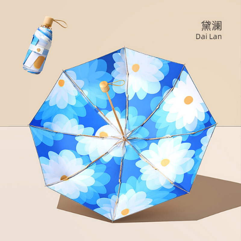 雨伞实物图