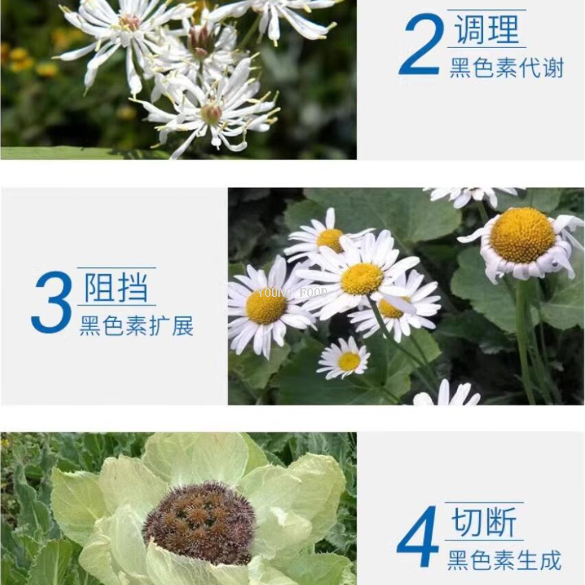 面霜实物图