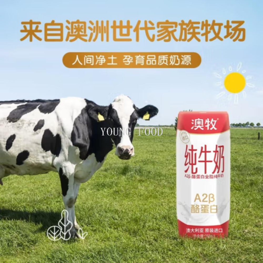 Free shipping! Australian original imported A2-β casein Pure Milk for Children and Students, 250ml*10 boxes details Picture