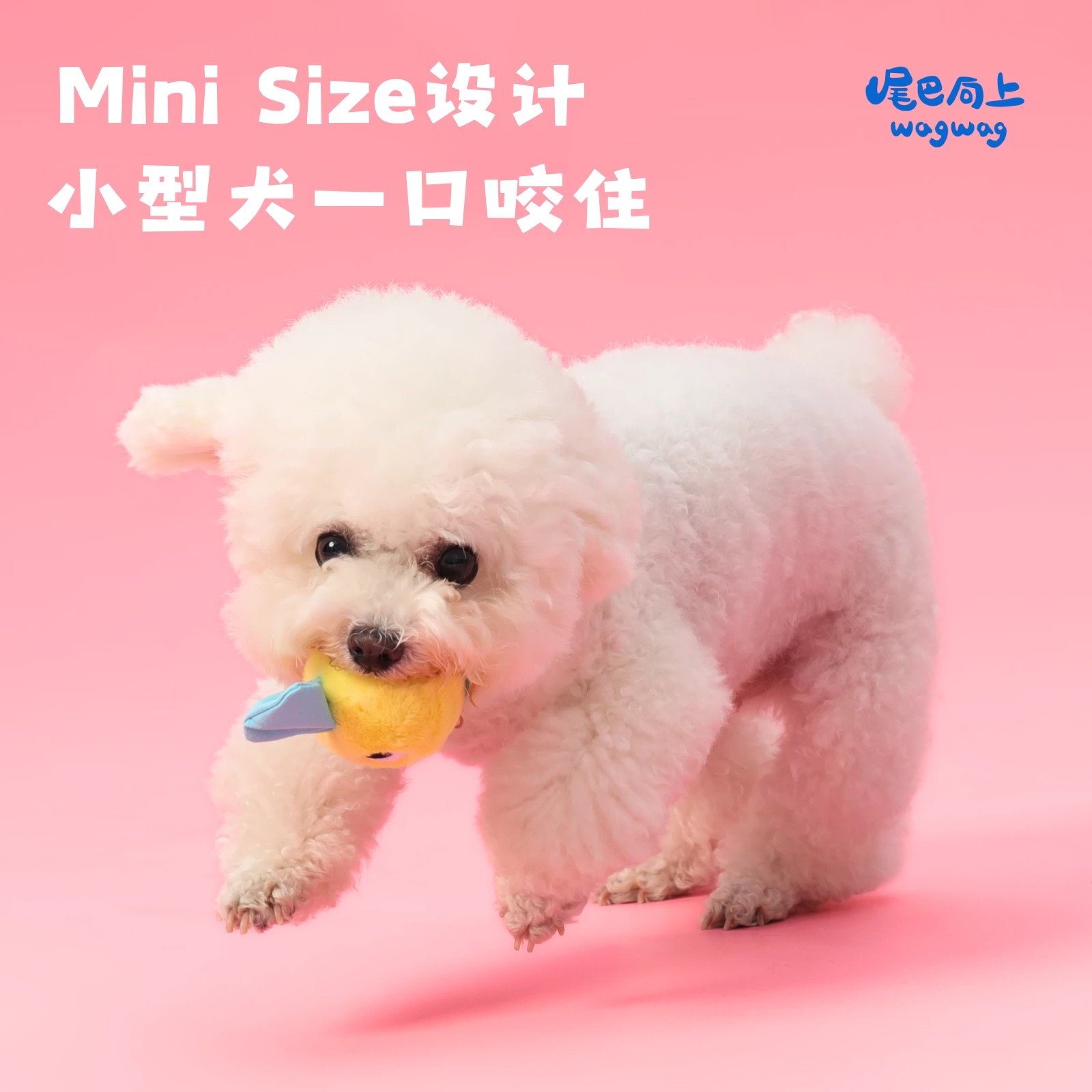 宠物玩具/宠物用品/宠物/狗玩具/宠物用品玩具白底实物图
