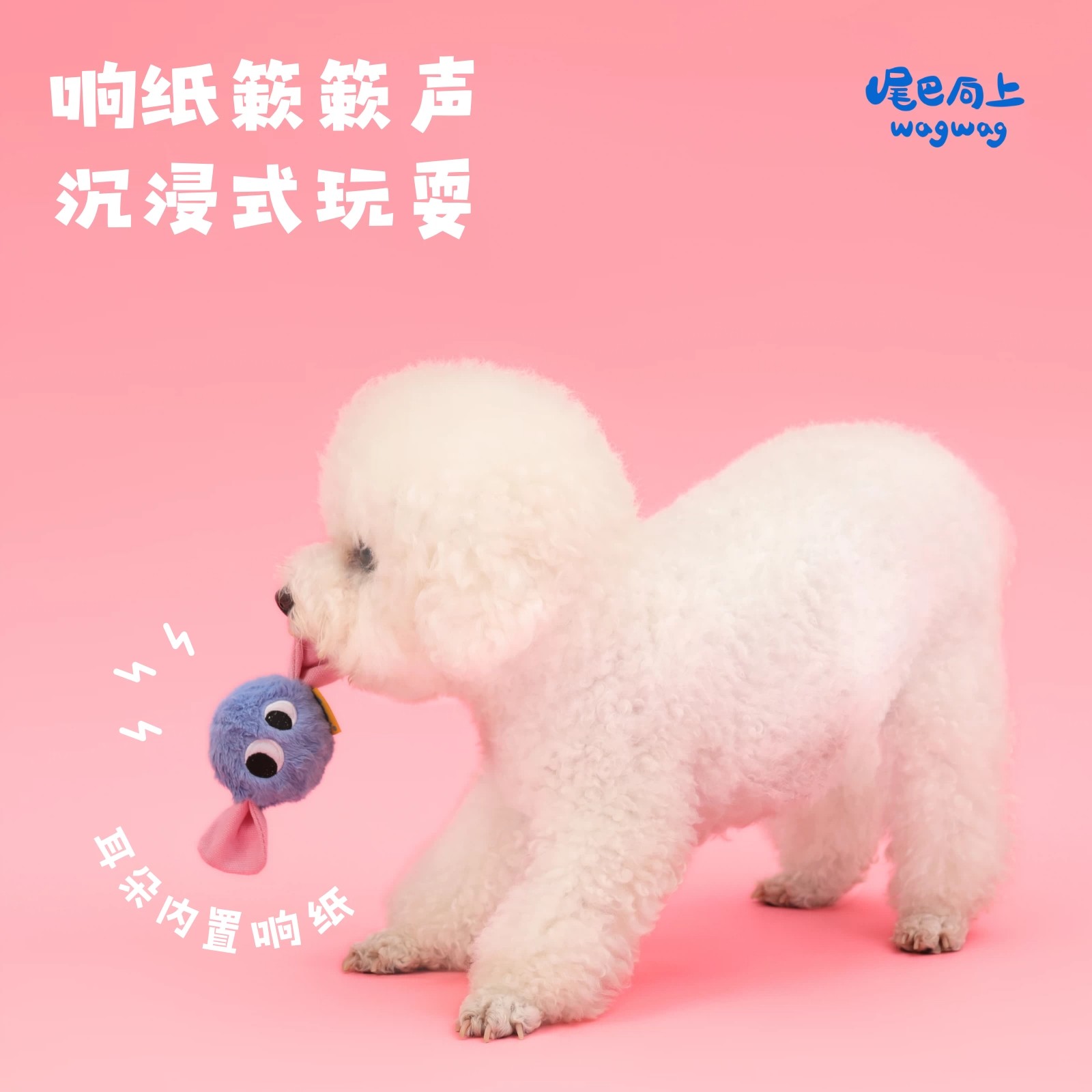 狗狗玩具实物图