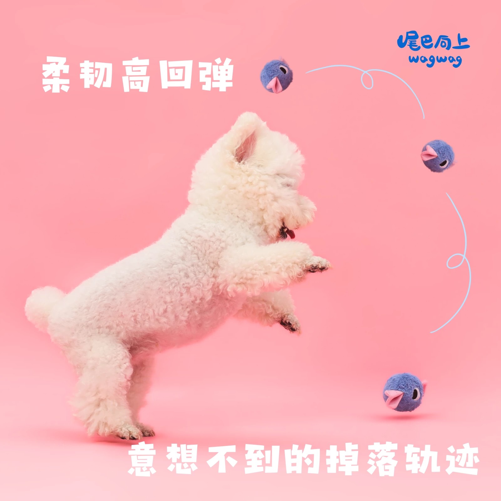 宠物玩具/宠物用品/宠物/狗玩具/宠物用品玩具细节图