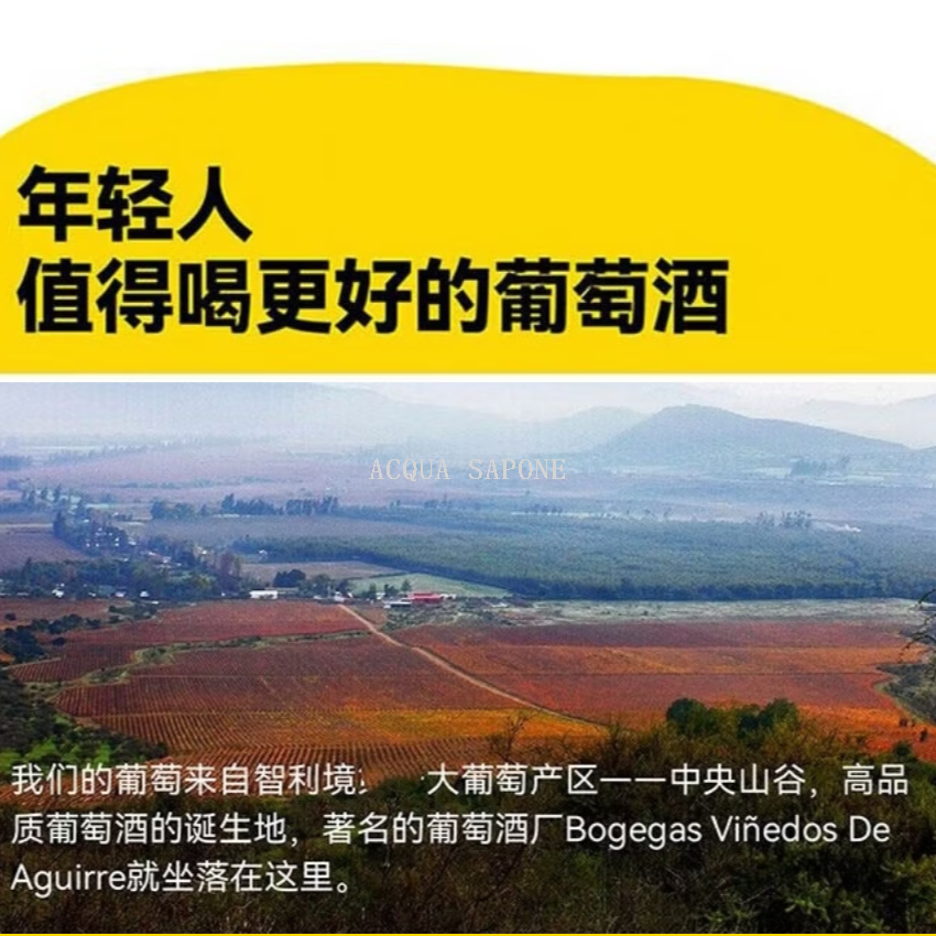 Free shipping! Chilean imported Big Yellow Dog wine dry Red and dry white 187.5ml*4 bottles gift box pic 6