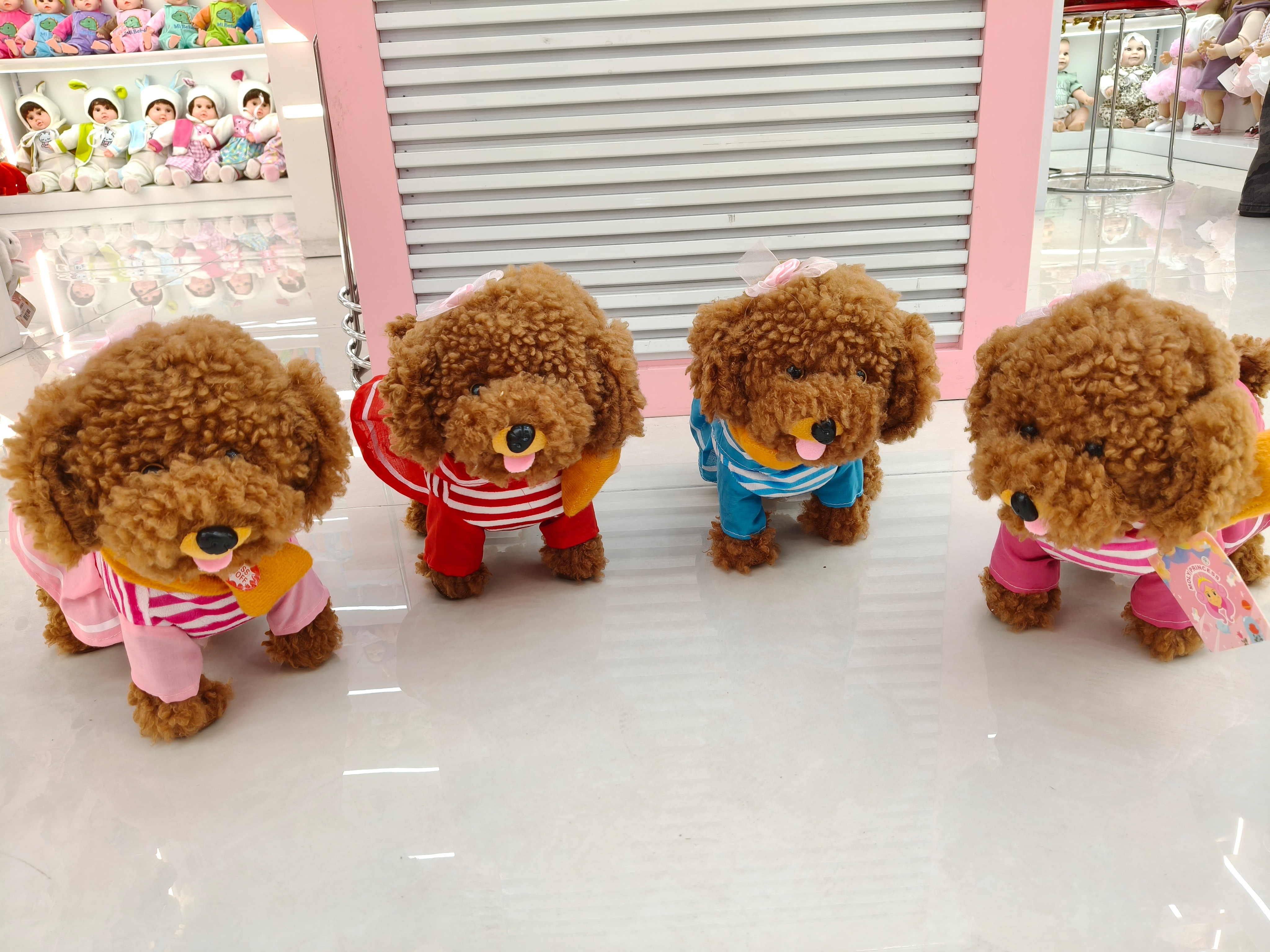 60 songs for a brown curly-haired toy dog that can walk, lick its tongue and wear a leash