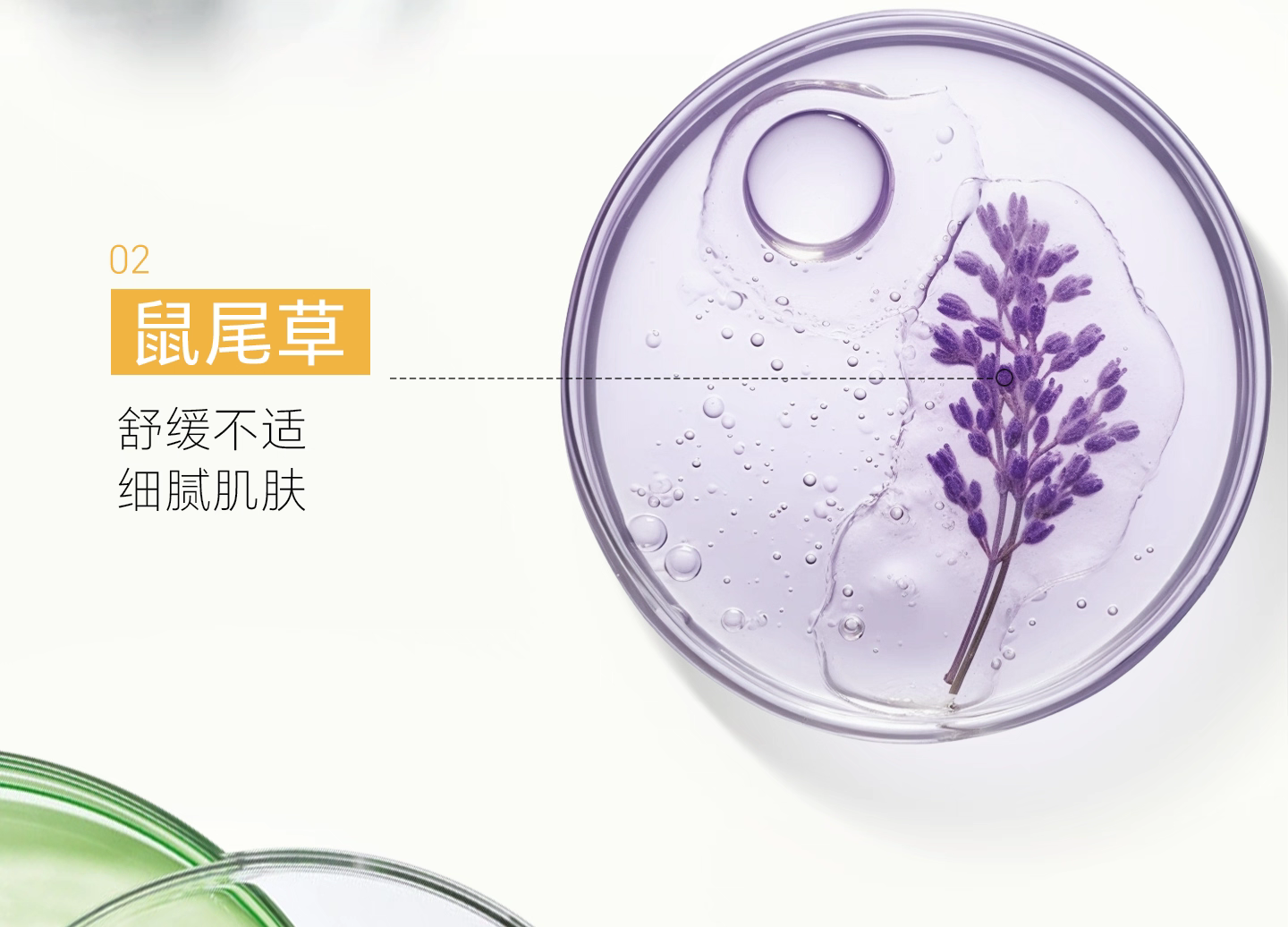 Korean imported The saem Dexianji Aloe Vera Gel 300ml Moisturizing and hydrating natural Curacao post-sun repair Aloe Vera gel detail image 10