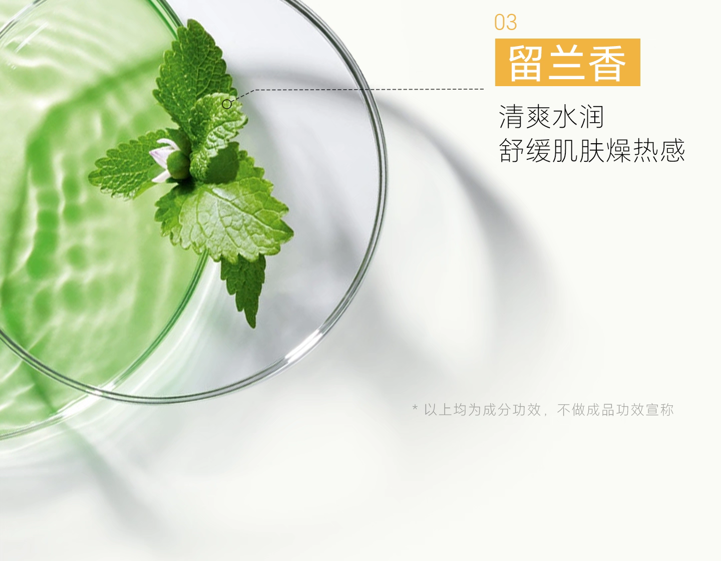 Korean imported The saem Dexianji Aloe Vera Gel 300ml Moisturizing and hydrating natural Curacao post-sun repair Aloe Vera gel detail image 11