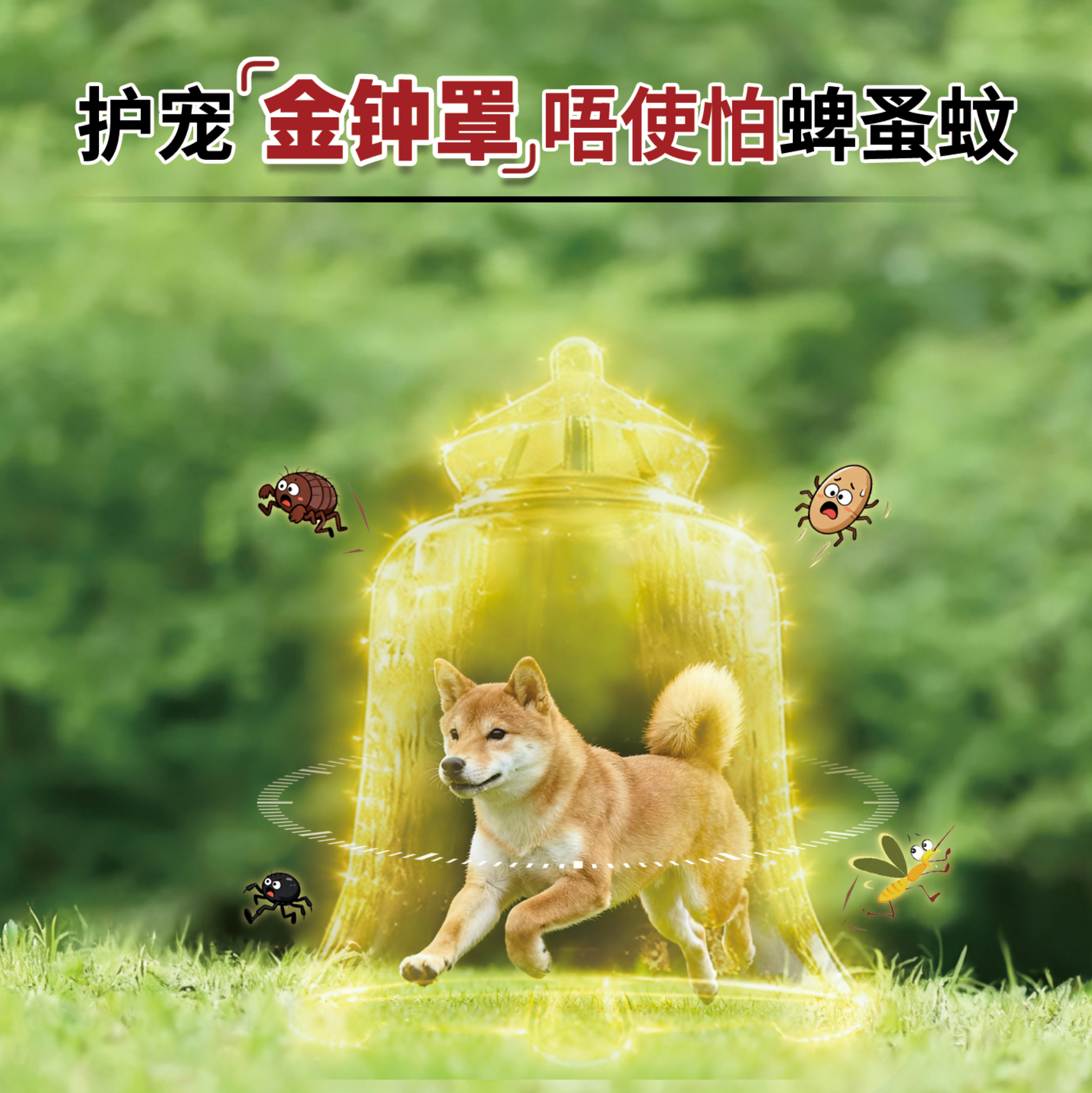 Hong Kong Early Clear Pet Care Spray, Universal Plant Essential Oil Formula for Cats and Dogs, Suitable for both humans and pets, Essential for Outdoor Travel, 250ml per bottle Specification image