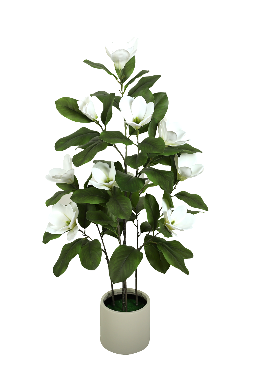 白色玉兰花盆栽仿真绿植园艺用品花卉绿植图