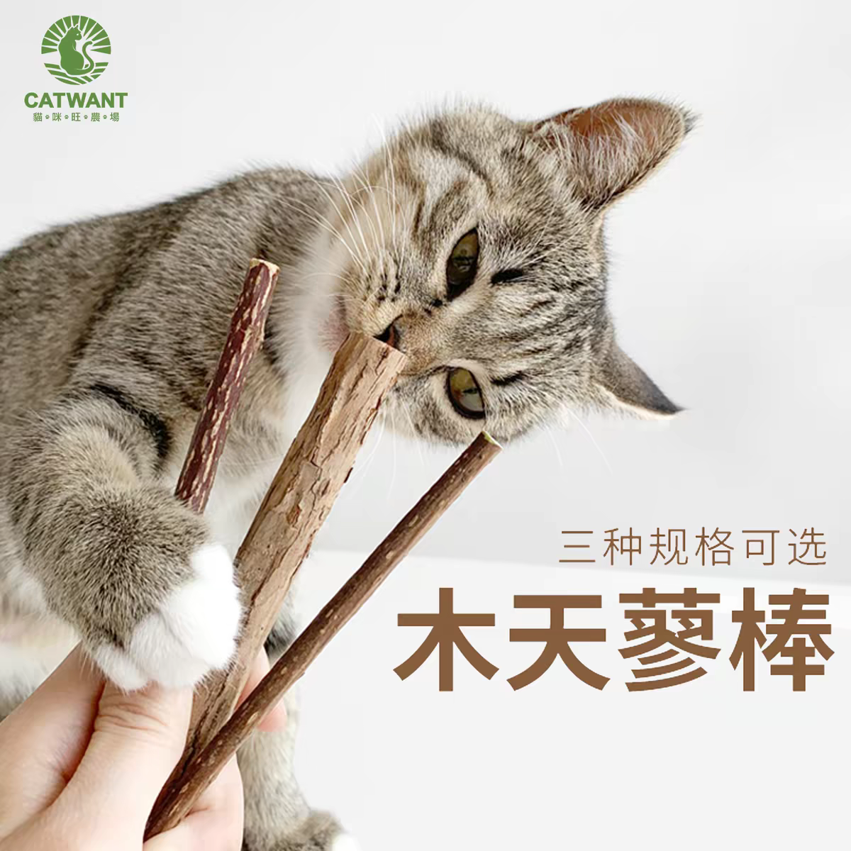 Gatito una granja de madera días Liao cepillo de insectos 廮 seco desde el hola de gelatina de bruxismo maravilloso gato YaoYao barras vedere sub-productos serie tiburones juguetes barras de pluma gato recrear el cuero puro hueso ZhiSheng juguetes artesanales XiaChan consistiría en contacto con Specification image