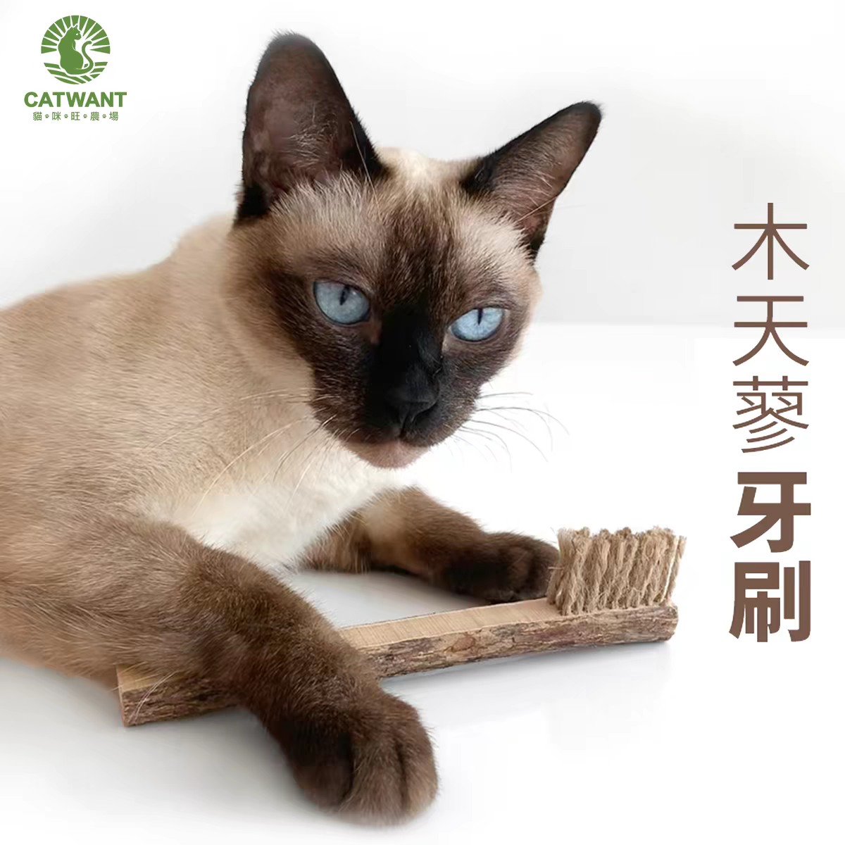 Gatito una granja de madera días Liao cepillo de insectos 廮 seco desde el hola de gelatina de bruxismo maravilloso gato YaoYao barras vedere sub-productos serie tiburones juguetes barras de pluma gato recrear el cuero puro hueso ZhiSheng juguetes artesanales XiaChan consistiría en contacto con pic 9