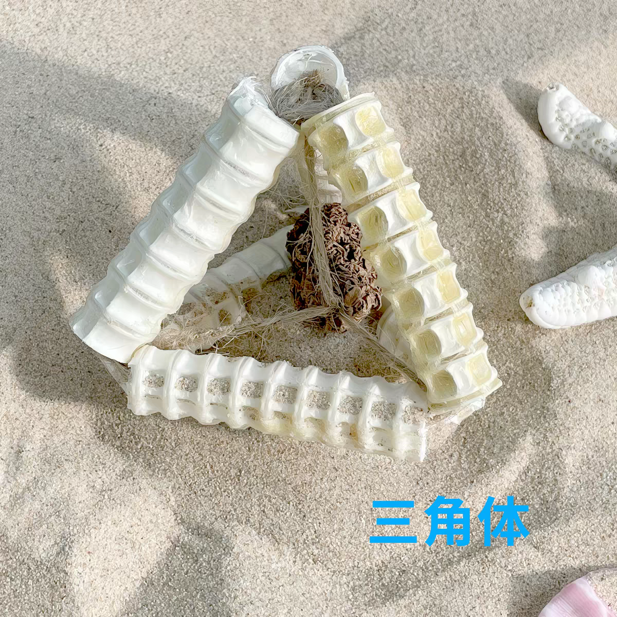 Gatito una granja de madera días Liao cepillo de insectos 廮 seco desde el hola de gelatina de bruxismo maravilloso gato YaoYao barras vedere sub-productos serie tiburones juguetes barras de pluma gato recrear el cuero puro hueso ZhiSheng juguetes artesanales XiaChan consistiría en contacto con pic 24