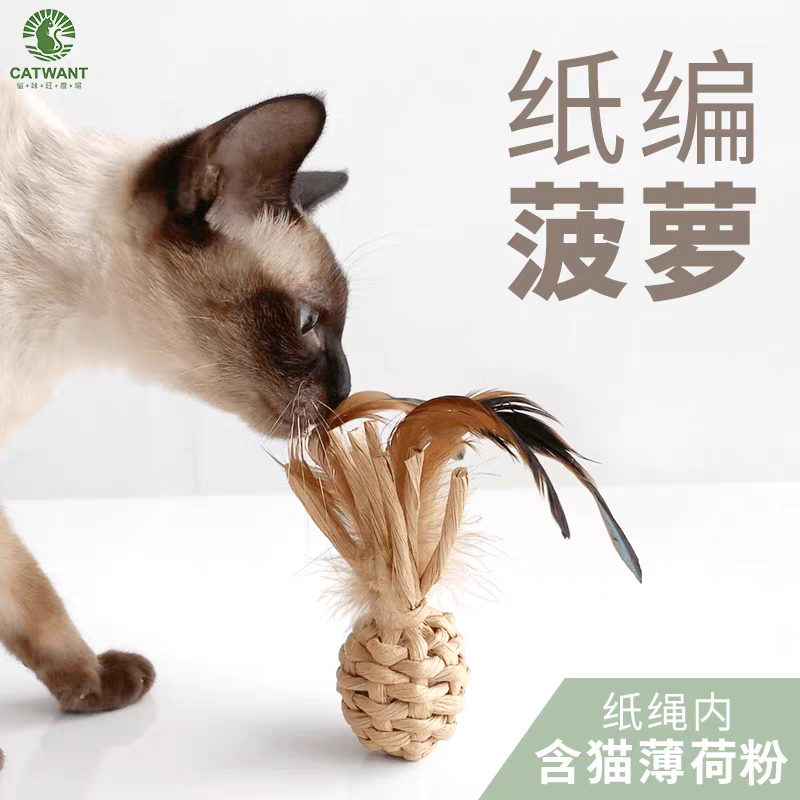 Gatito una granja de madera días Liao cepillo de insectos 廮 seco desde el hola de gelatina de bruxismo maravilloso gato YaoYao barras vedere sub-productos serie tiburones juguetes barras de pluma gato recrear el cuero puro hueso ZhiSheng juguetes artesanales XiaChan consistiría en contacto con pic 6