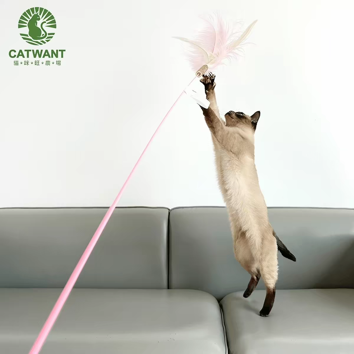 Gatito una granja de madera días Liao cepillo de insectos 廮 seco desde el hola de gelatina de bruxismo maravilloso gato YaoYao barras vedere sub-productos serie tiburones juguetes barras de pluma gato recrear el cuero puro hueso ZhiSheng juguetes artesanales XiaChan consistiría en contacto con pic 10