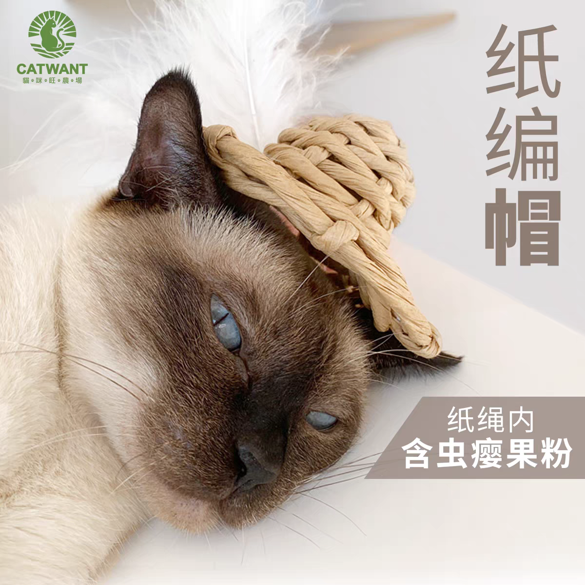 Gatito una granja de madera días Liao cepillo de insectos 廮 seco desde el hola de gelatina de bruxismo maravilloso gato YaoYao barras vedere sub-productos serie tiburones juguetes barras de pluma gato recrear el cuero puro hueso ZhiSheng juguetes artesanales XiaChan consistiría en contacto con pic 8